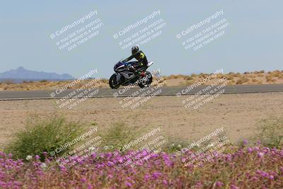 media/Mar-12-2023-SoCal Trackdays (Sun) [[d4c8249724]]/Turn 15 Inside Bloom (130pm)/